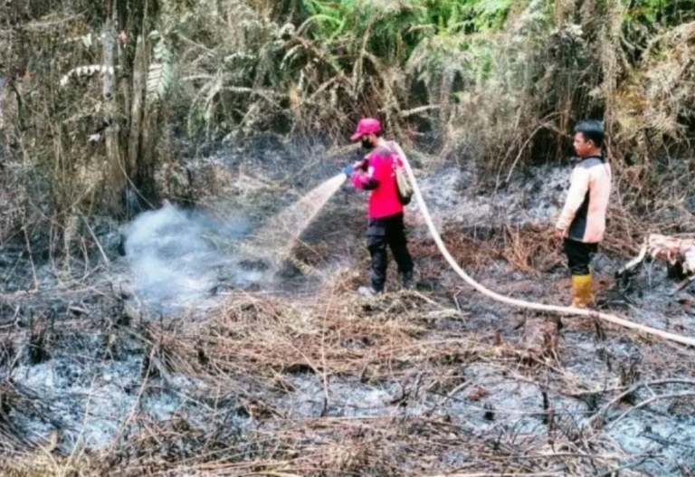 34 titik panas di Kalimantan Timur